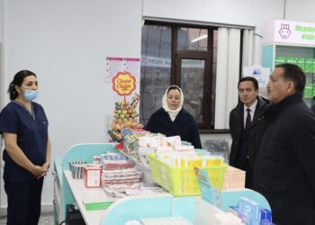 Ауданда дәрі-дәрмек қоры жеткілікті