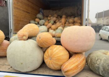 Қызылордада Сырдария ауданының ауыл шаруашылығы өнімдерінің жәрмеңкесі өтті