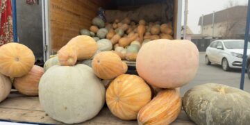 Қызылордада Сырдария ауданының ауыл шаруашылығы өнімдерінің жәрмеңкесі өтті