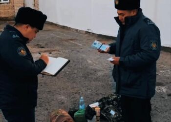 Дабыл сөмкесі: даурығусыз дайындықтың мәні