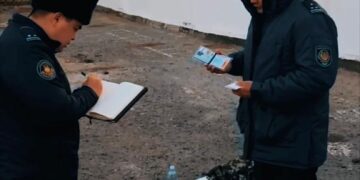 Дабыл сөмкесі: даурығусыз дайындықтың мәні