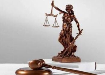 Заң мен тәртіп қағидаты