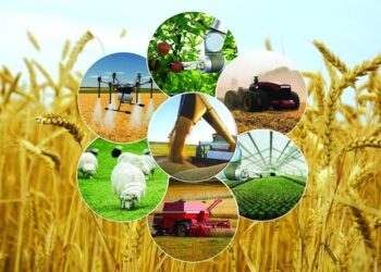 Сырдария ауданындағы ауылшаруашылық саласында тың өзгерістер көп