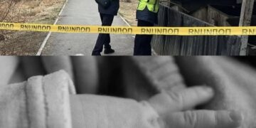 Қоқыс контейнерінен жаңа туған сәбидің денесі табылған