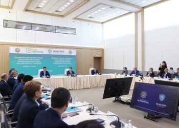 Конституциялық реформа контекстіндегі «Заң мен тәртіп» қағидаты