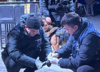 Кәмелетке толмаған қызылордалық түнгі клубта азот оксиді құйылған шар сатқан