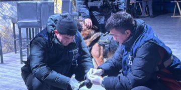 Кәмелетке толмаған қызылордалық түнгі клубта азот оксиді құйылған шар сатқан