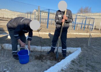 Жаңару күніндегі жасыл бастама