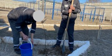 Жаңару күніндегі жасыл бастама