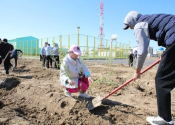 Жалағаш ауданында «Таза аула» акциясы өтті