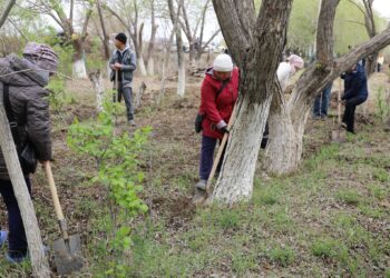 Жалағаш ауданында «Тағзым орны таза болсын, рух пен тазалық – егіз ұғым» атты тазалық акциясы өтті