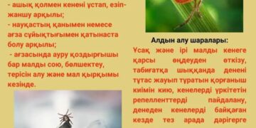 Конго-Қырым геморрагиялық қызбасы (КҚГҚ)