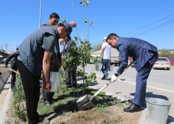 «Таза өлке – Жалағаш» атты ауқымды акция жоғары деңгейде ұйымдастырылып өтті.
