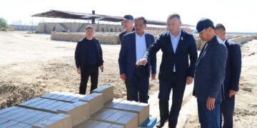 Сырдария ауданының әкімі кірпіш зауытының жұмысымен танысты