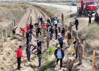 Сырдарияда “Таза Қазақстан” акциясы аясында тал егу жұмыстары жүргізілді