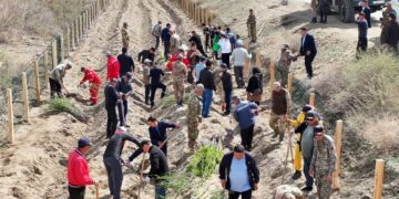 Сырдарияда “Таза Қазақстан” акциясы аясында тал егу жұмыстары жүргізілді