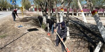 Сырдария ауданында “Таза Қазақстан” экологиялық акциясы аясында сенбілік ұйымдастырылды