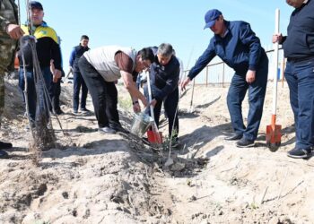 Қазалыда “Таза Қазақстан” экологиялық акциясы аясында жаппай сенбілік өтті