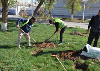 ШИЕЛІДЕ «ТАЗА ҚАЗАҚСТАН» АЯСЫНДА АУҚЫМДЫ СЕНБІЛІК ӨТТІ