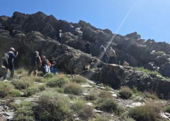 Шиелі жастары тарихи орындарды тазартуға белсенді қатысты