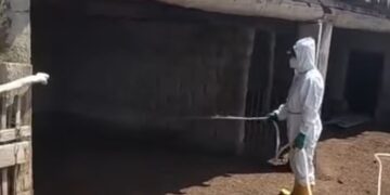 Шиелі ауданында көктемгі кенеге қарсы улау жұмыстары туралы