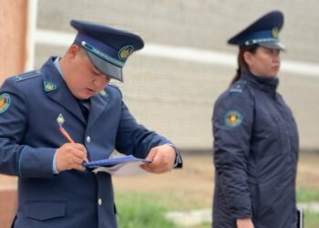 Дабыл сөмкесі: дамылсыз дайындық жолы