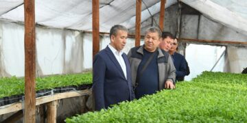 Қазалы ауданының әкімі «Ауыл аманаты» аясында кәсіп бастаған азаматтардың жұмысымен танысты