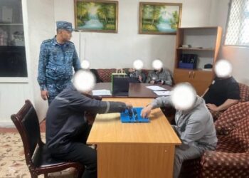 Дағдарып қалмаудағы дамылсыз әрекет