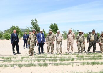 Қазалы: әкім аудандағы тұқымбақтардың жұмысымен танысты