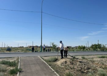 «Таза Қазақстан». Аралда тазалық жұмыстары басталды