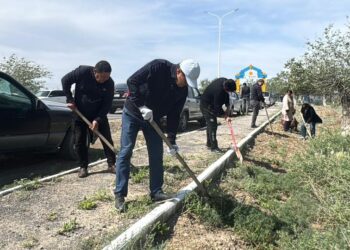 Сырдария ауданында сенбілік жұмыстары жүргізілді