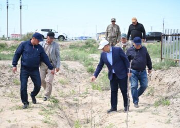 Қазалы ауданында «Таза Қазақстан» экологиялық акциясы аясында сенбілік ұйымдастырылды