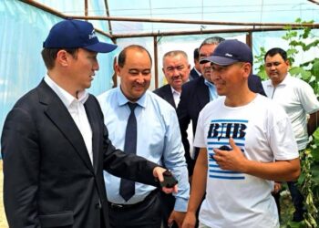 Жаңақорған ауданының тұрғындары мемлекеттік бағдарламалардың игілігін көруде