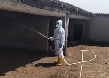 Ақмая елді мекенінде кенеге қарсы өңдеу жұмыстарының барысы бақыланды
