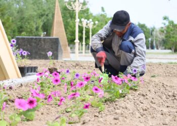 Қазалы: Гүлдендіру жұмыстары жүргізілуде