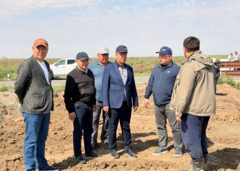 Қазалы: Каналдарды механикалық тазалау жұмыстары жүргізілуде
