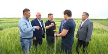 Облыс әкімі егіс алқабына барды