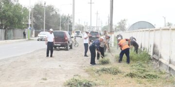 Қазалыда сенбілік ұйымдастырылды