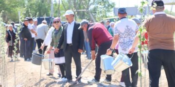 Сырдария: «Таза Қазақстан» акциясы аясында тал егу іс-шарасы өтті