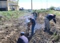 Қазалыда «Таза Қазақстан» экологиялық акциясы аясында сенбілік жұмыстары өтті