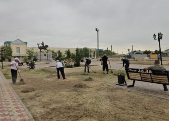 Аралда кезекті сенбілік жұмыстары ұйымдастырылды
