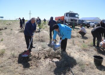 Арал ауданында тал егу шарасы өтті  