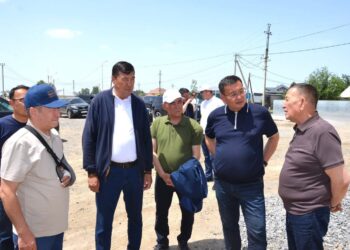 Қызылорда облысы әкімінің орынбасары Шиелі ауданындағы егіс алқаптарын аралады