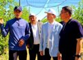 Жаңақорған ауданында халық үшін маңызды жобалар жүзеге асырылып жатыр