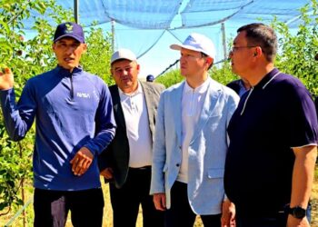 Жаңақорған ауданында халық үшін маңызды жобалар жүзеге асырылып жатыр