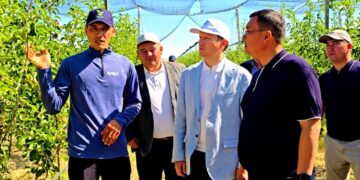 Жаңақорған ауданында халық үшін маңызды жобалар жүзеге асырылып жатыр