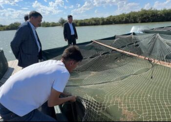 Сырдария ауданының әкімі балық шаруашылығы нысанының жұмысымен танысты