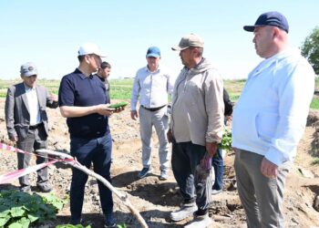 Қазалы: аудан әкімі бақшалықтар мен егіс алқаптарын аралады