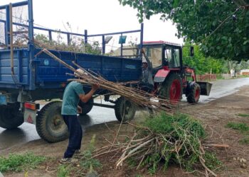 Сырдарияда «Таза Қазақстан» экологиялық акциясы аясында сенбілік жұмыстары жүргізілді