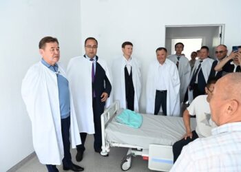 Аймақ басшысы Жаңақорған ауданына барды